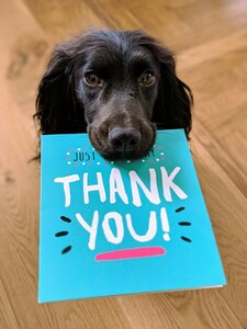 Hund mit Dankeskarte