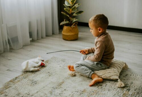 Kleiner Junge spielt mit Katze