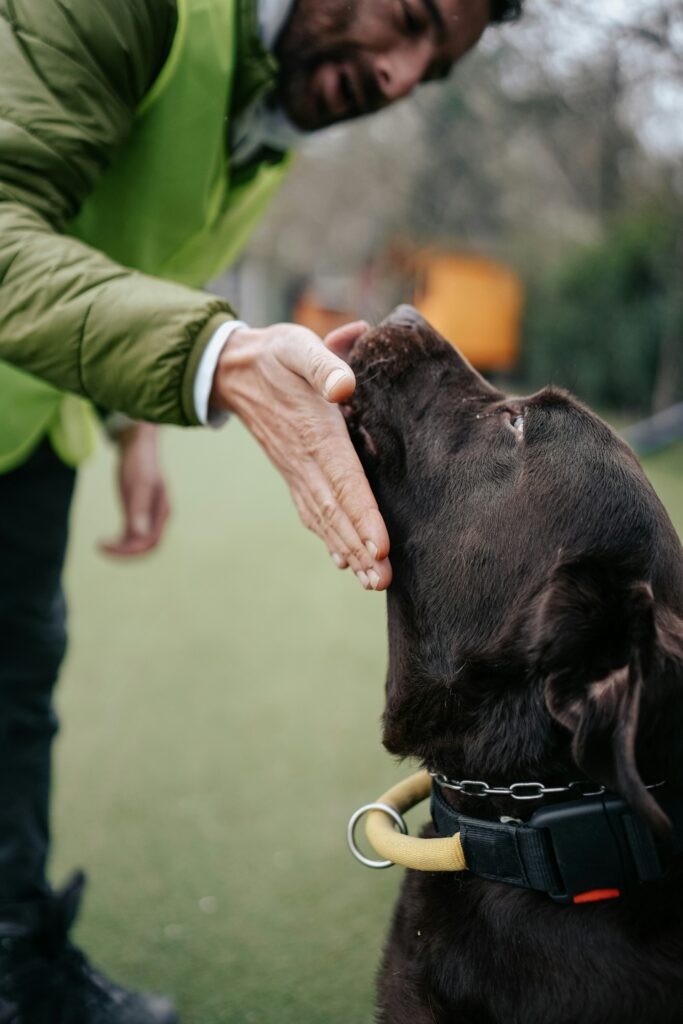 Hund bekommt Belohnung