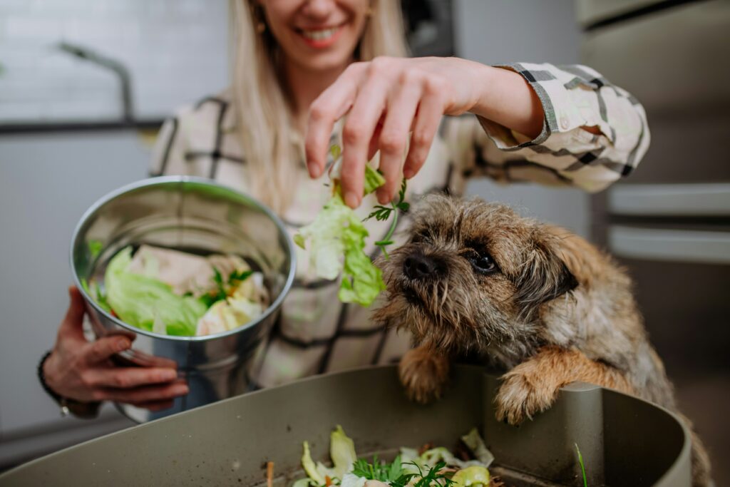 Kleiner Hund frisst Salat